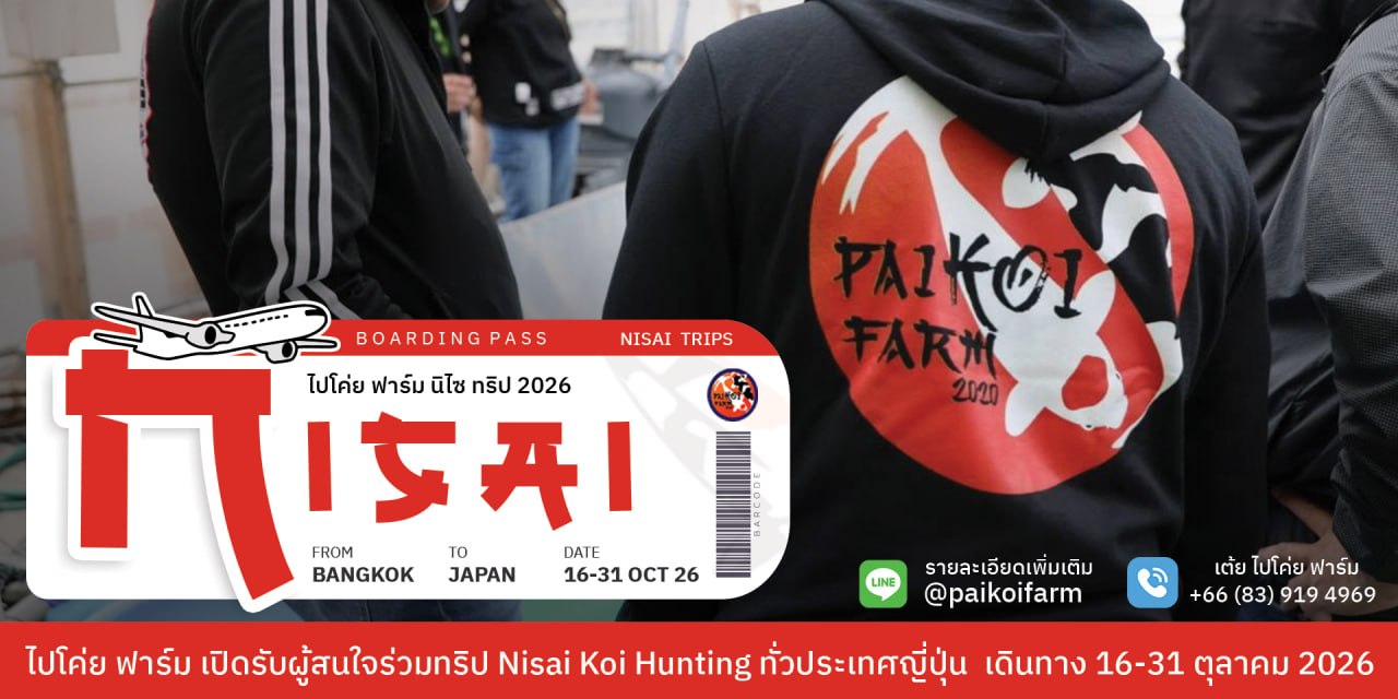 Nisai Trips — เปิดรับผู้สนใจร่วมทริป Nisai Koi Hunting ทั่วประเทศญี่ปุ่น เดินทาง 16–31 ตุลาคม 2026